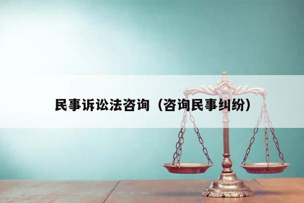 民事诉讼法咨询（咨询民事纠纷）