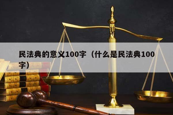 民法典的意义100字（什么是民法典100字）