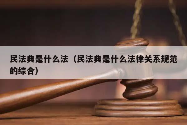 民法典是什么法（民法典是什么法律关系规范的综合）