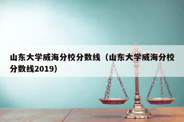 山东大学威海分校分数线（山东大学威海分校分数线2019）