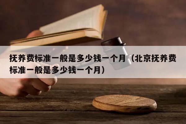 抚养费标准一般是多少钱一个月（北京抚养费标准一般是多少钱一个月）