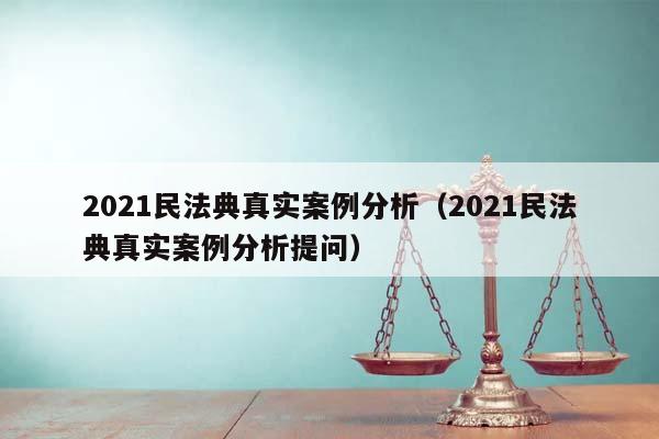 2021民法典真实案例分析（2021民法典真实案例分析提问）