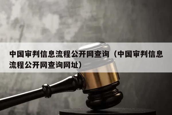 中国审判信息流程公开网查询（中国审判信息流程公开网查询网址）