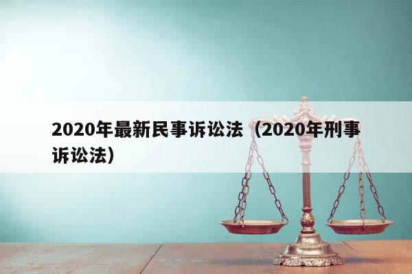 2020年最新民事诉讼法（2020年刑事诉讼法）
