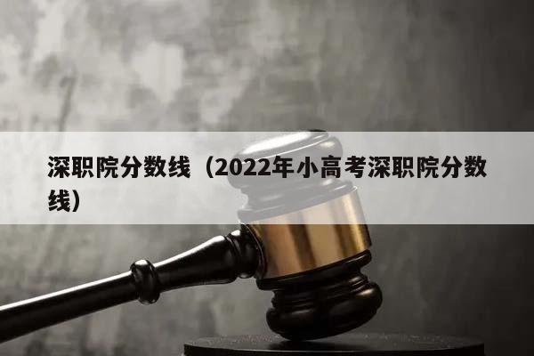 深职院分数线（2022年小高考深职院分数线）