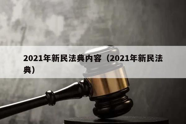 2021年新民法典内容（2021年新民法典）