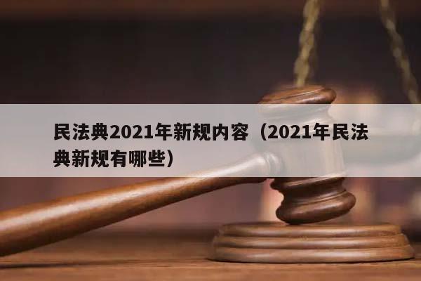 民法典2021年新规内容（2021年民法典新规有哪些）