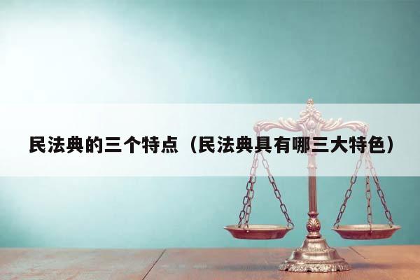 民法典的三个特点（民法典具有哪三大特色）