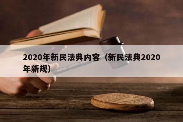 2020年新民法典内容（新民法典2020年新规）