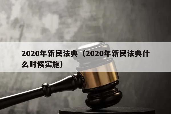 2020年新民法典（2020年新民法典什么时候实施）