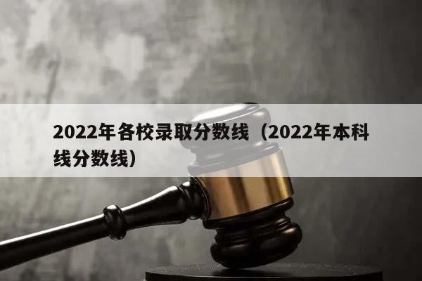 2022年各校录取分数线（2022年本科线分数线）