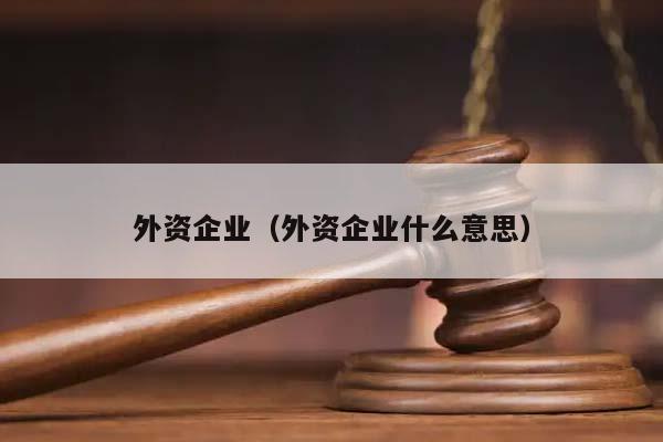 外资企业（外资企业什么意思）