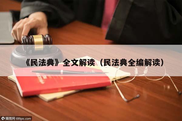 《民法典》全文解读（民法典全编解读）