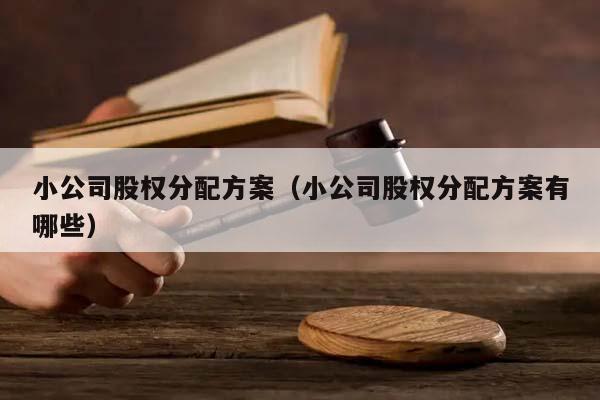 小公司股权分配方案（小公司股权分配方案有哪些）