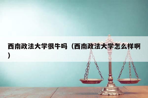 西南政法大学很牛吗（西南政法大学怎么样啊）