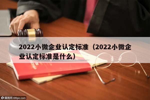 2022小微企业认定标准（2022小微企业认定标准是什么）