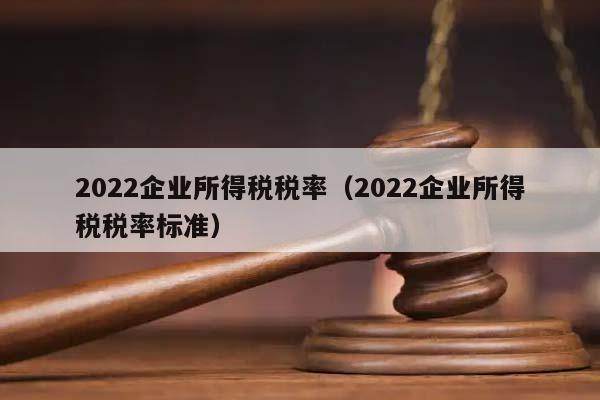 2022企业所得税税率（2022企业所得税税率标准）