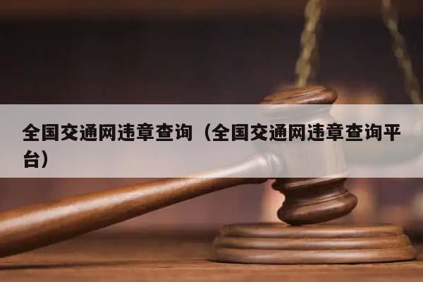 全国交通网违章查询（全国交通网违章查询平台）