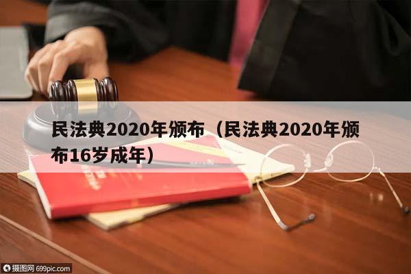 民法典2020年颁布（民法典2020年颁布16岁成年）