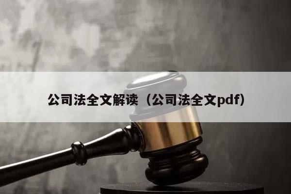 公司法全文解读（公司法全文pdf）