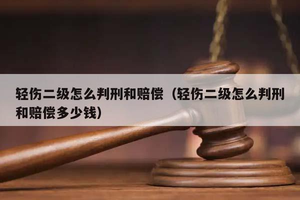 轻伤二级怎么判刑和赔偿（轻伤二级怎么判刑和赔偿多少钱）