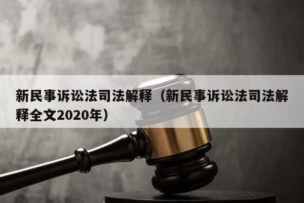 新民事诉讼法司法解释（新民事诉讼法司法解释全文2020年）