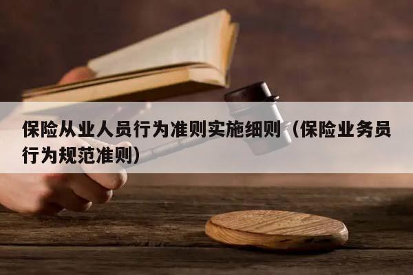 保险从业人员行为准则实施细则（保险业务员行为规范准则）