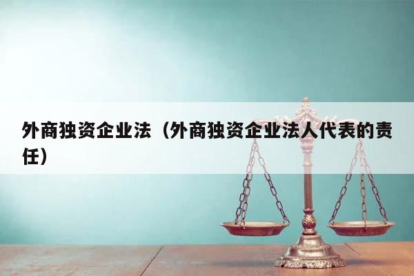 外商独资企业法（外商独资企业法人代表的责任）