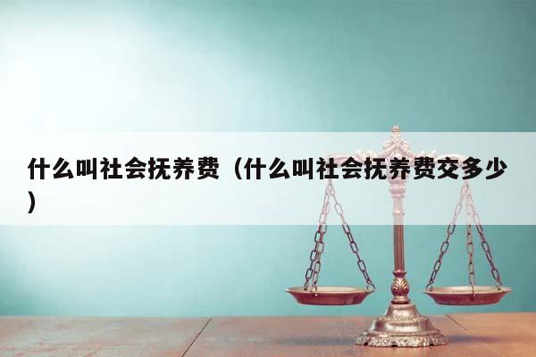 什么叫社会抚养费（什么叫社会抚养费交多少）