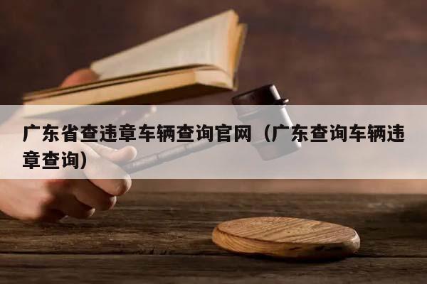 广东省查违章车辆查询官网（广东查询车辆违章查询）