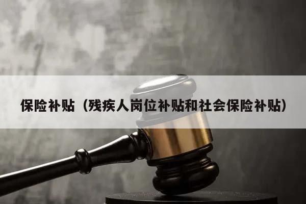 保险补贴（残疾人岗位补贴和社会保险补贴）