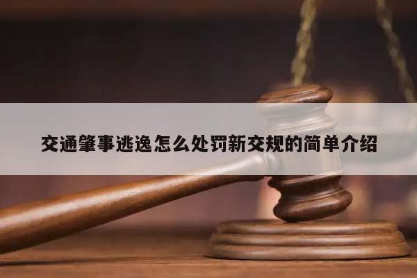 交通肇事逃逸怎么处罚新交规的简单介绍