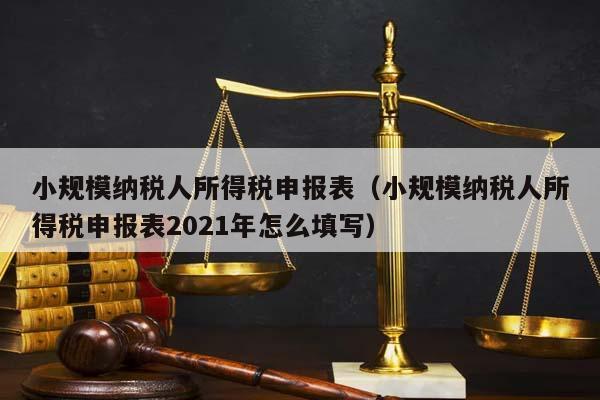 小规模纳税人所得税申报表（小规模纳税人所得税申报表2021年怎么填写）