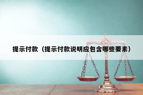 提示付款（提示付款说明应包含哪些要素）