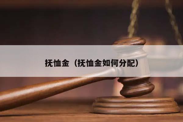 抚恤金（抚恤金如何分配）