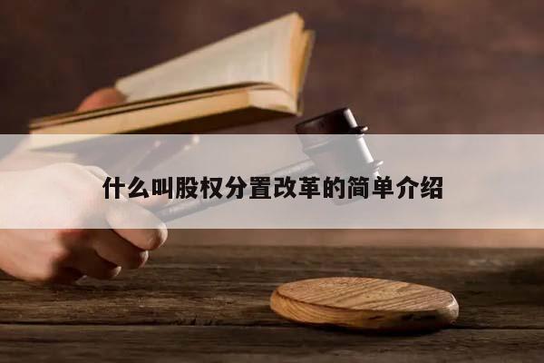 什么叫股权分置改革的简单介绍