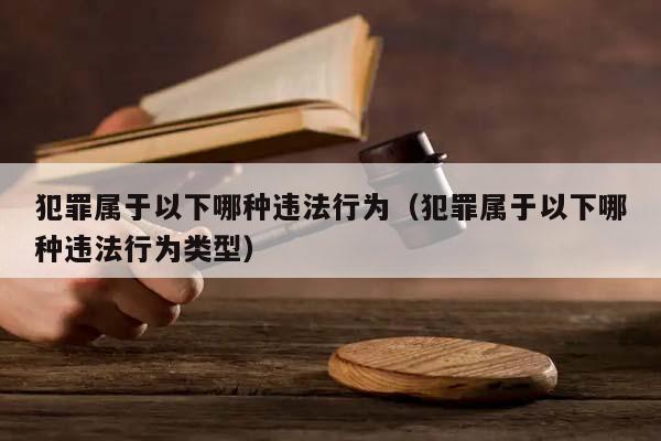 犯罪属于以下哪种违法行为（犯罪属于以下哪种违法行为类型）