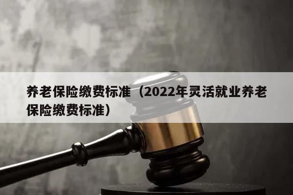 养老保险缴费标准（2022年灵活就业养老保险缴费标准）