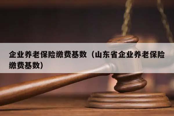 企业养老保险缴费基数（山东省企业养老保险缴费基数）