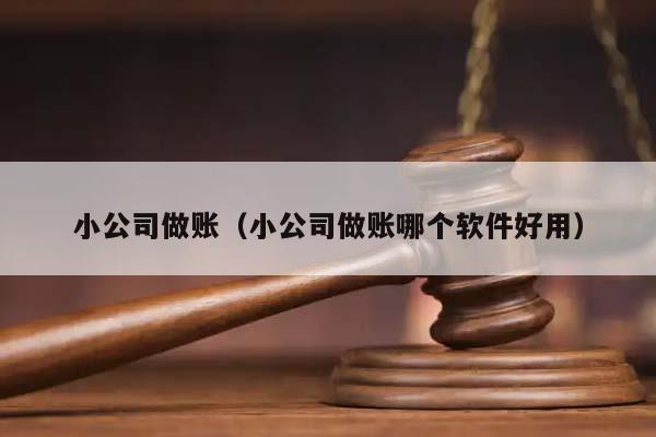 小公司做账（小公司做账哪个软件好用）