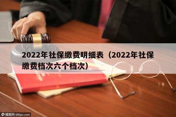 2022年社保缴费明细表（2022年社保缴费档次六个档次）