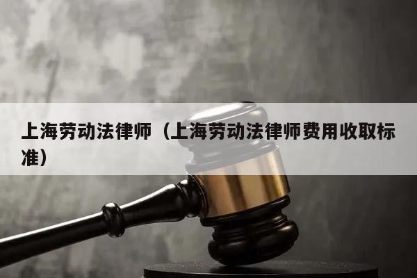 上海劳动法律师（上海劳动法律师费用收取标准）
