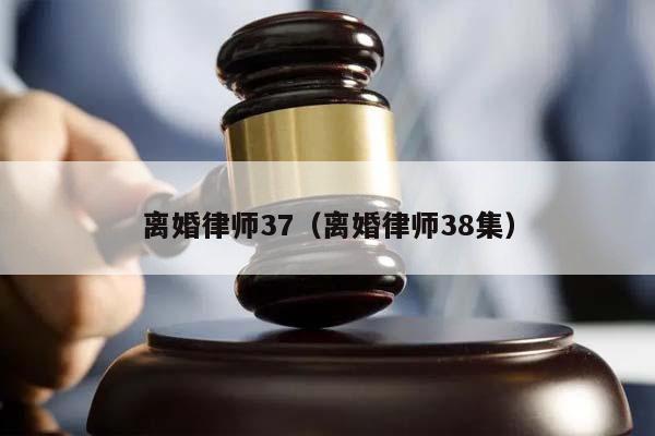 离婚律师37（离婚律师38集）