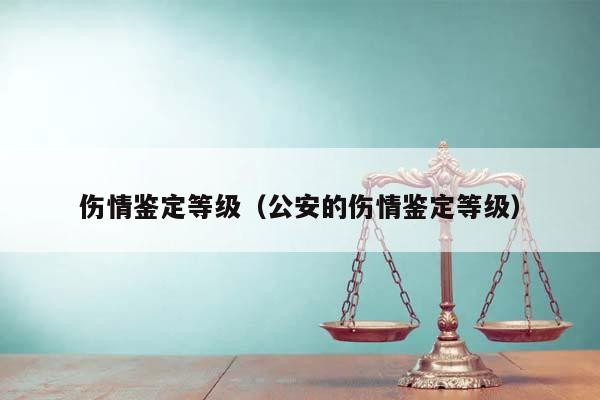 伤情鉴定等级（公安的伤情鉴定等级）