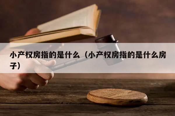 小产权房指的是什么（小产权房指的是什么房子）