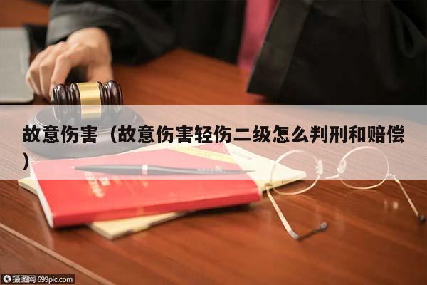 故意伤害（故意伤害轻伤二级怎么判刑和赔偿）