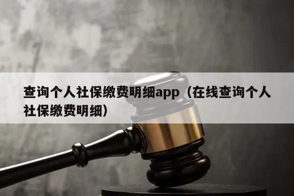 查询个人社保缴费明细app（在线查询个人社保缴费明细）