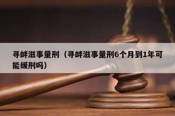 寻衅滋事量刑（寻衅滋事量刑6个月到1年可能缓刑吗）