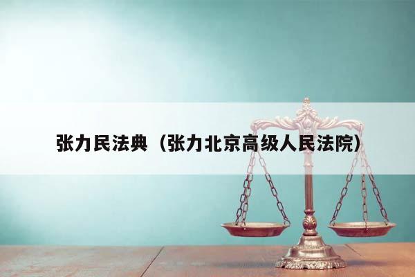 张力民法典（张力北京高级人民法院）