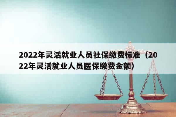 2022年灵活就业人员社保缴费标准（2022年灵活就业人员医保缴费金额）